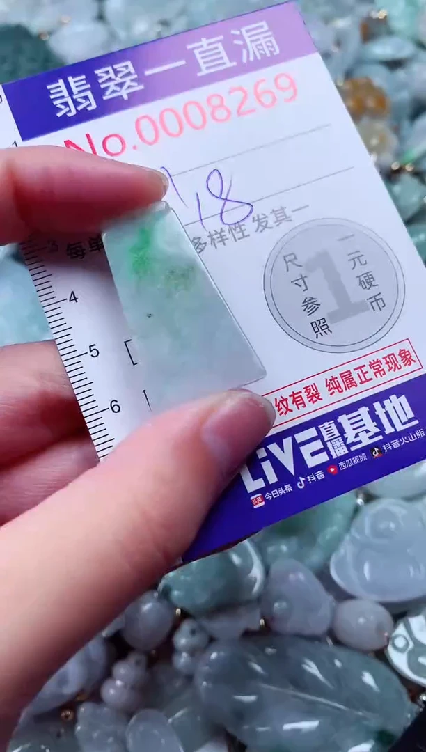 吊坠(不含链)未镶嵌翡翠8269