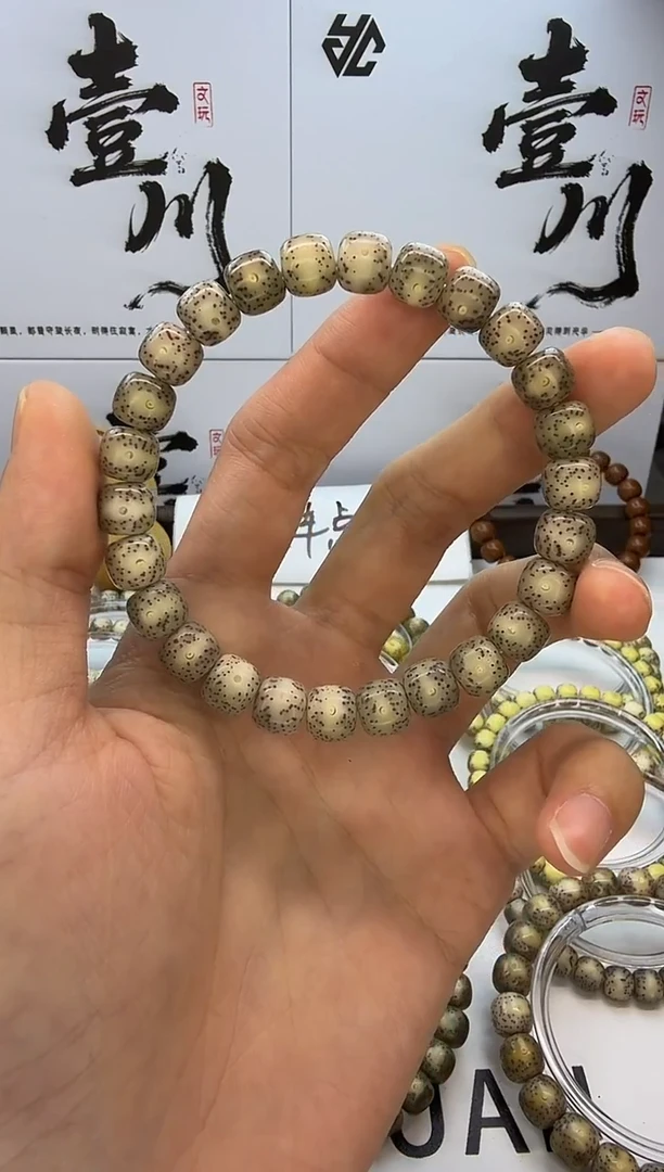 手串星月菩提9/8 冰糖玉化 眼留白+侧留白  同枝果  B41