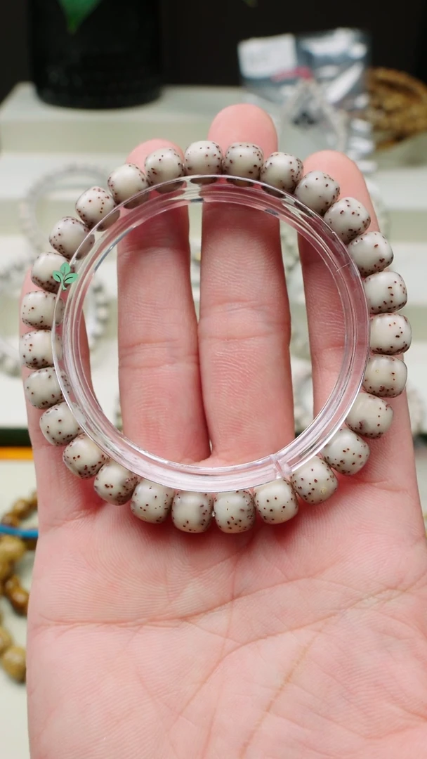 手串星月菩提海南星月菩提一物一图小通体