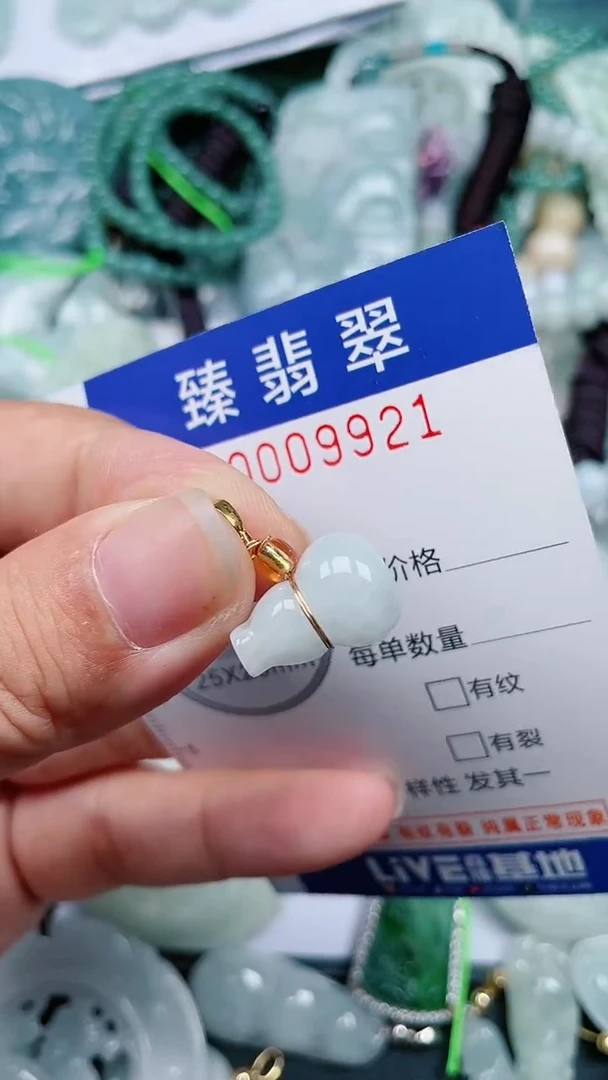 颈饰未镶嵌翡翠.0009921