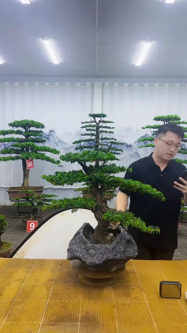 无花朵00000000000000000000