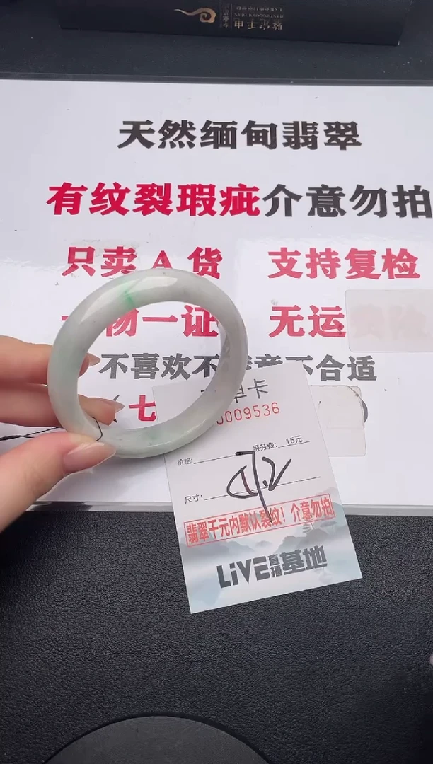 未镶嵌手镯翡翠36