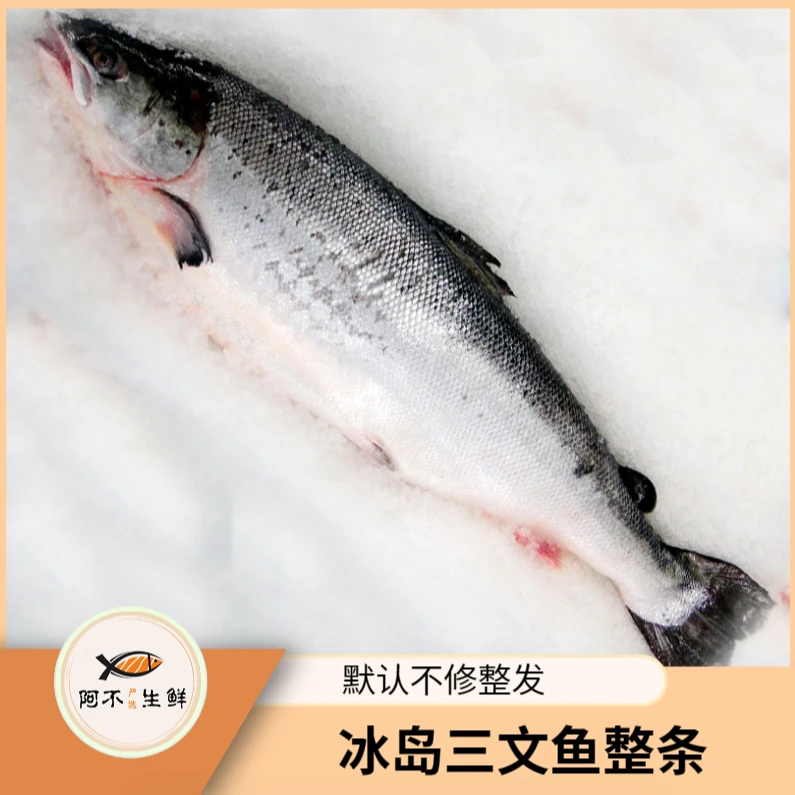 双十一【大表哥冰岛整条】现称 整条冰岛三文鱼c