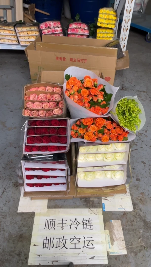 高原红2扎+卡布1扎+骄傲1扎+橙色芭比2扎+黄莺