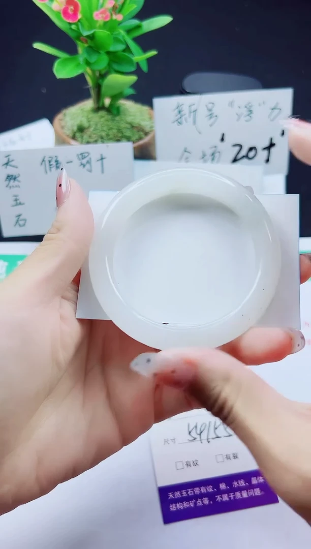 未镶嵌手镯石英质玉228-54/55