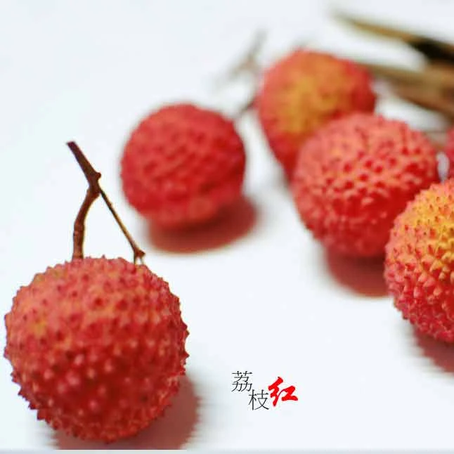 合江奥运贡果带绿荔枝（川渝顺丰包邮）