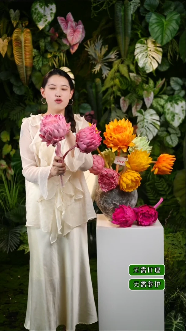 永生花洋蓟2枝粉色发货直径不低于10cm不售后