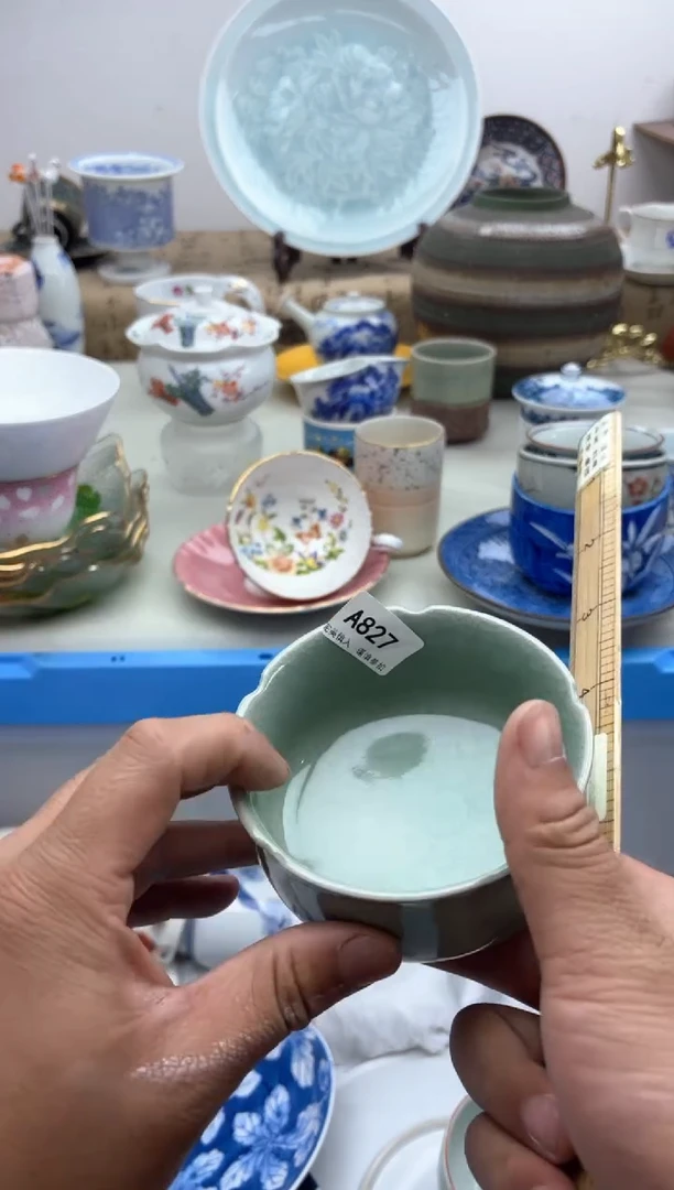 【闪购商品】碟A827...........