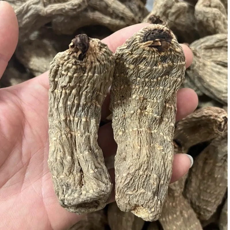 【现收】农家特产干货食用农产品—2——