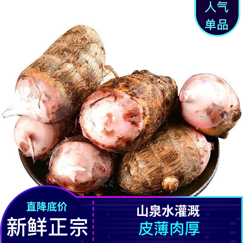 正宗浙江红芽芋头农家蔬菜芋头芋艿香芋新鲜芋头红芽新鲜芋艿