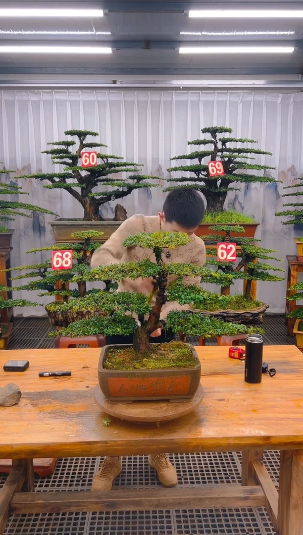 【闪购商品】紫砂精品盆景直播间一物一拍