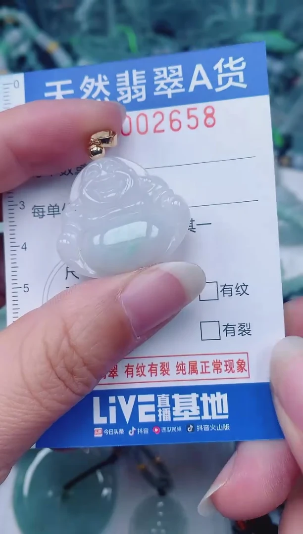 颈饰未镶嵌翡翠00002658