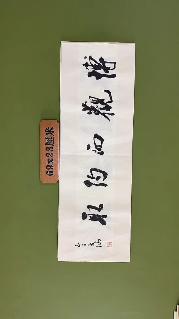 书法书法 张若鸿 尺寸69cm*23cm