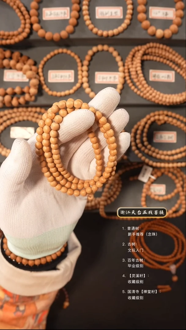 【闪购商品】五线菩提吊坠百年古树籽去皮脖挂6.5左右尺寸