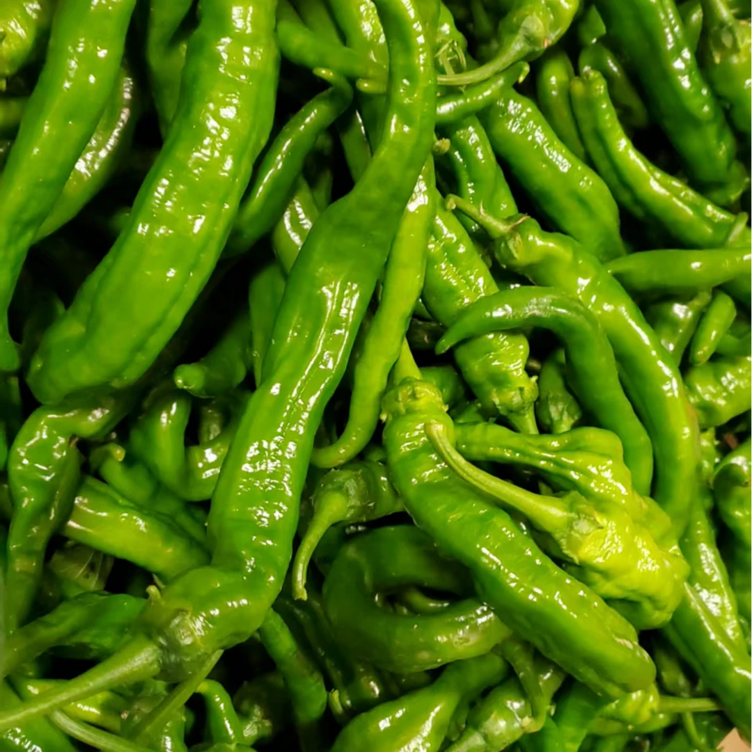 (顺丰包邮) 湖南溆浦本地青辣椒香辣椒新鲜采摘辣椒、茄子