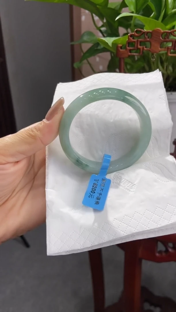 未镶嵌手镯翡翠00005985