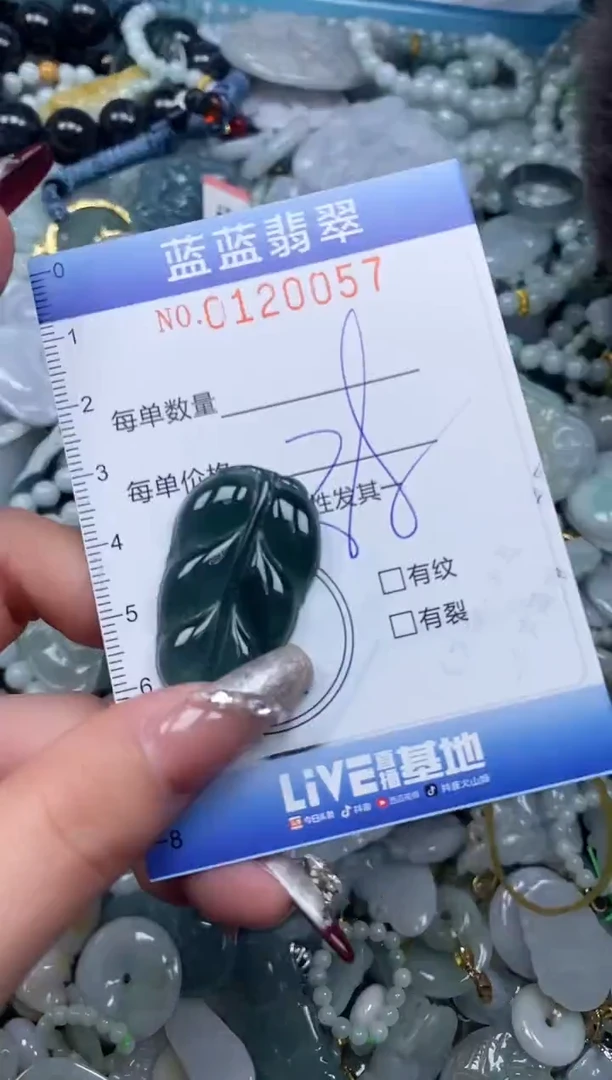 【闪购商品】翡翠颈饰未镶嵌闪购0120057