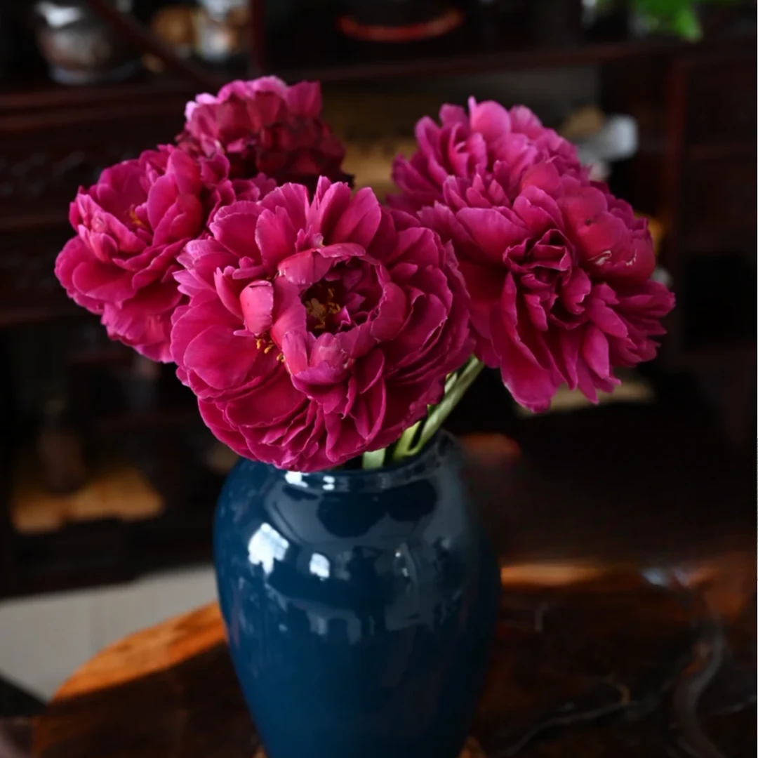 【大聪明卖花】芍药红丝绒鲜花  任意两单花材顺丰冷链或德邦快递