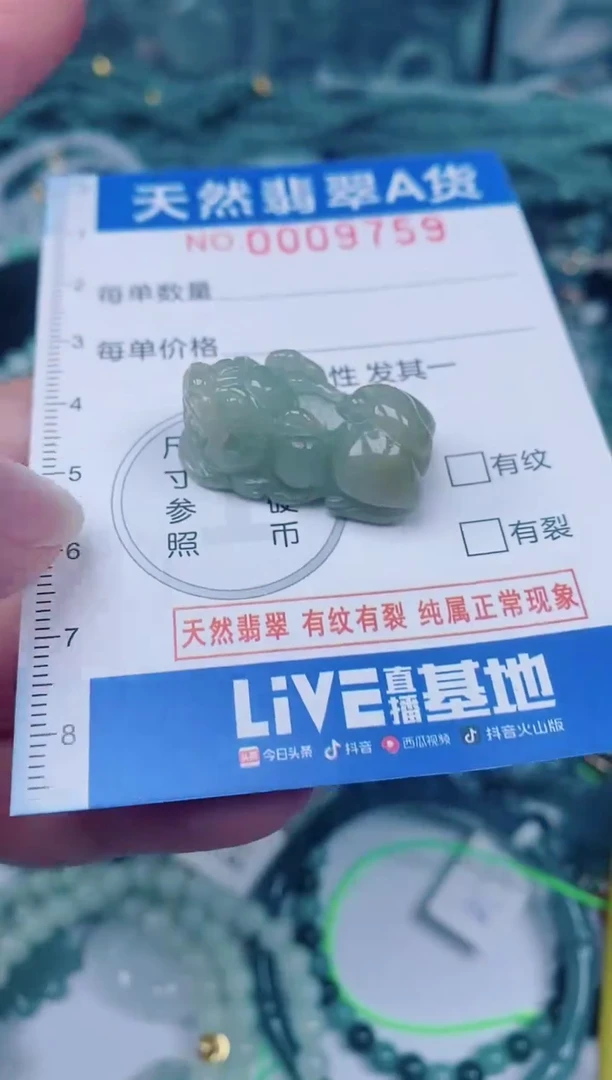 颈饰未镶嵌翡翠00009759