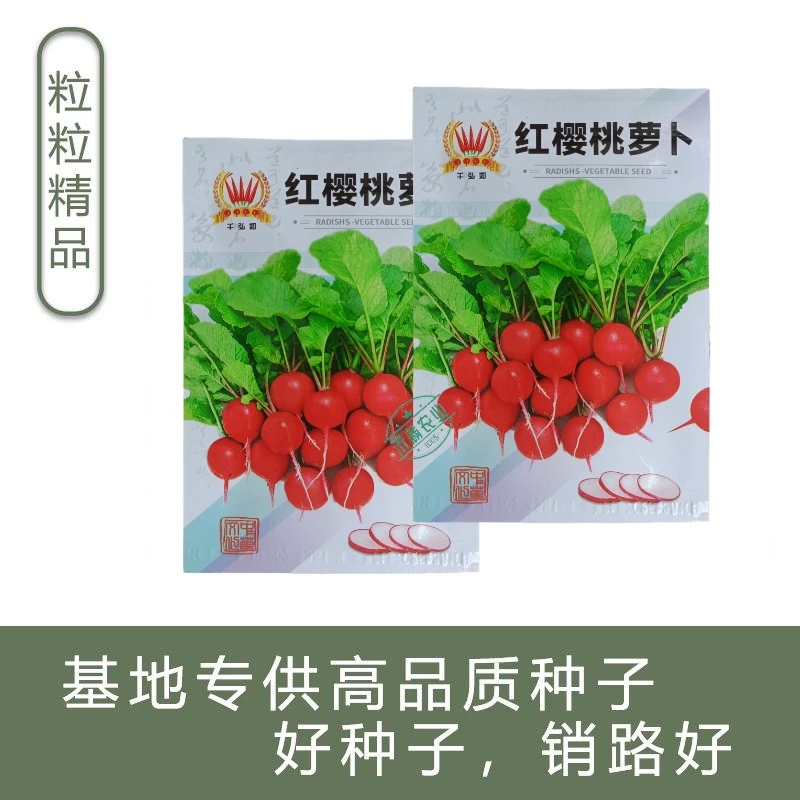 红樱桃萝卜种子  四季樱桃萝卜蔬菜种籽水果樱桃萝卜阳台盆栽种子