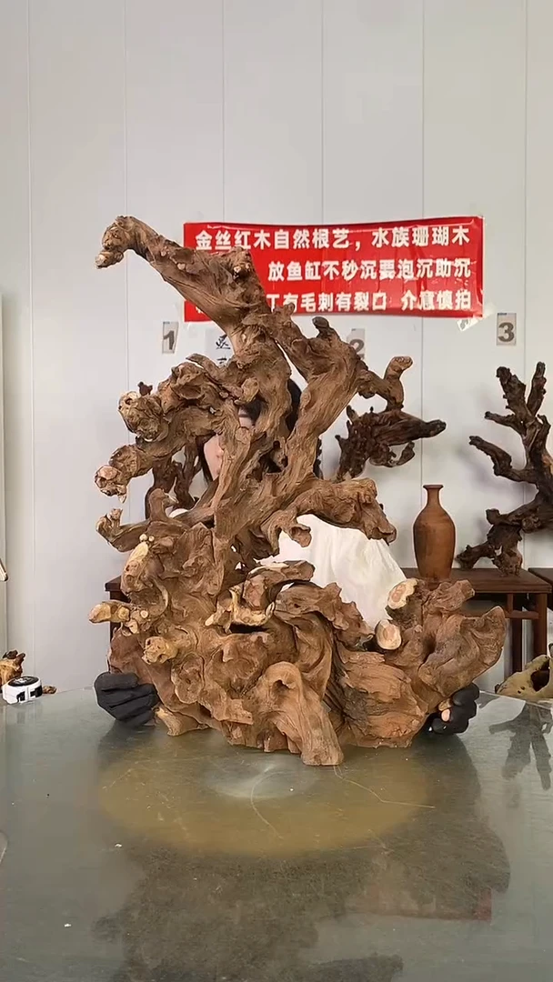 香榧木港*金丝红木   羊蹄甲