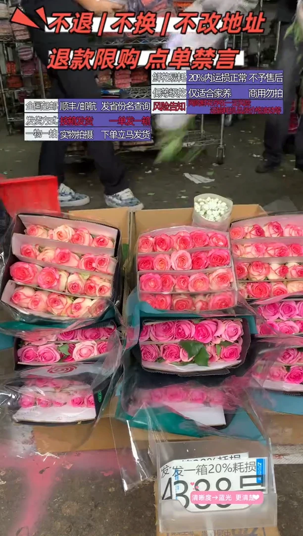 388号♥含20%耗损发一箱