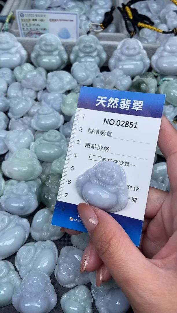 颈饰未镶嵌翡翠纯天然A货缅翡2851