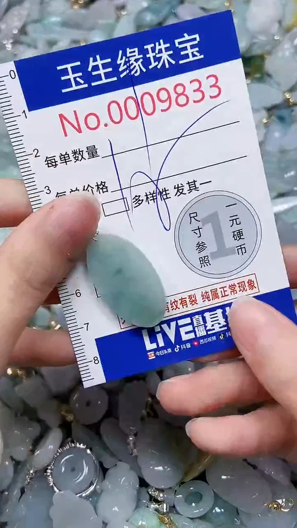 【闪购商品】翡翠颈饰未镶嵌闪购00009833