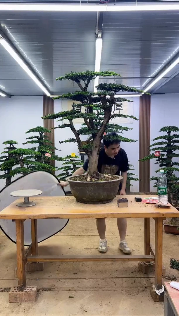 无花朵000000000000000000000