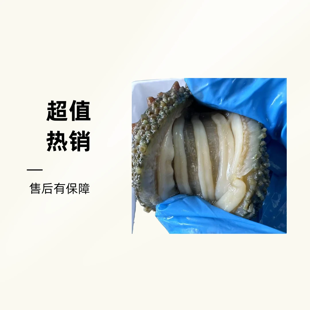 原产地大连8头即食海参 4斤装