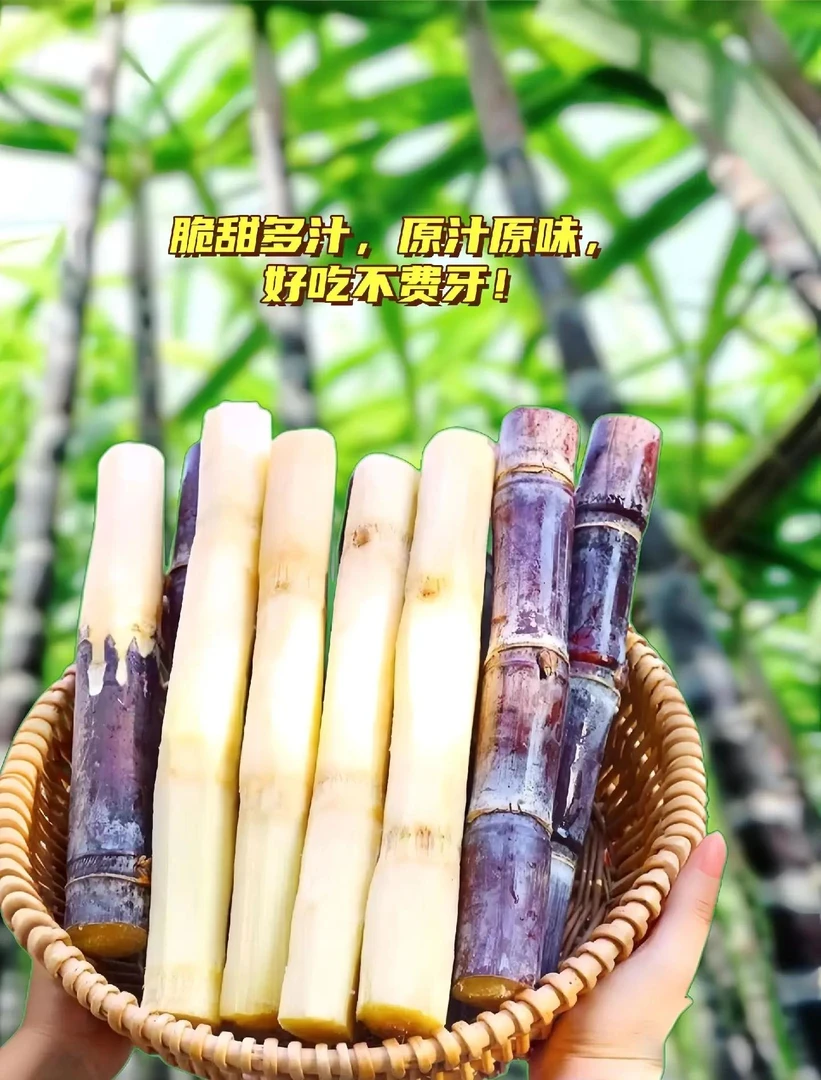广西正宗黑皮甘蔗新鲜现砍脆甜多汁应季水果