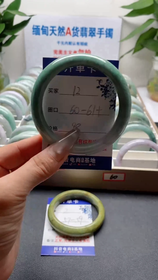 未镶嵌手镯翡翠12