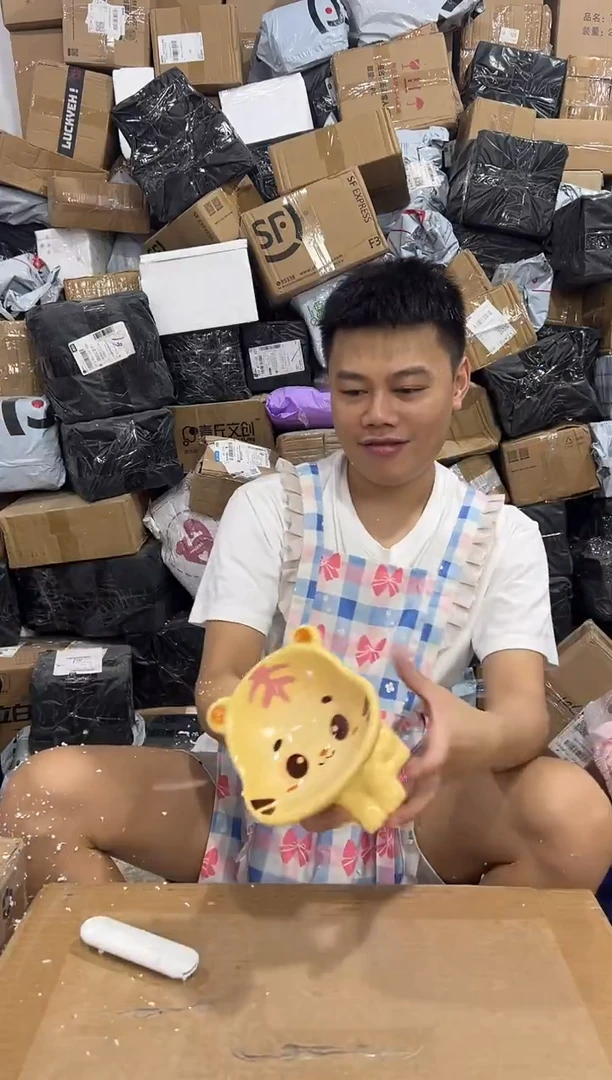 瓷片老虎猫碗