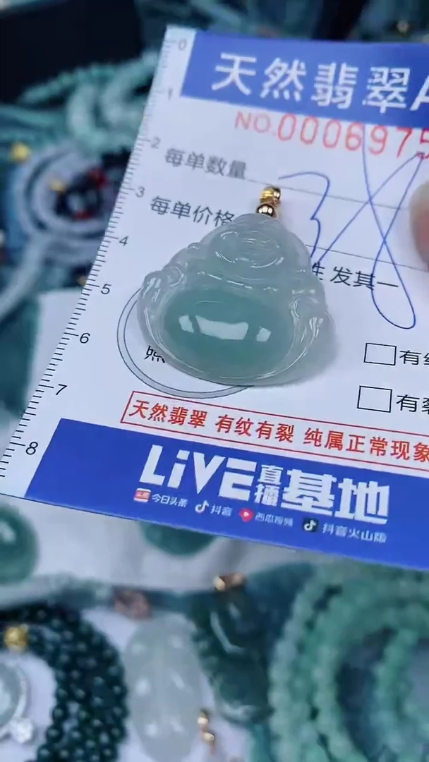 翡翠未镶嵌颈饰00006975