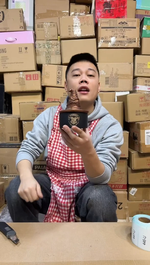 【闪购商品】杯哈利波特分院帽首饰盒