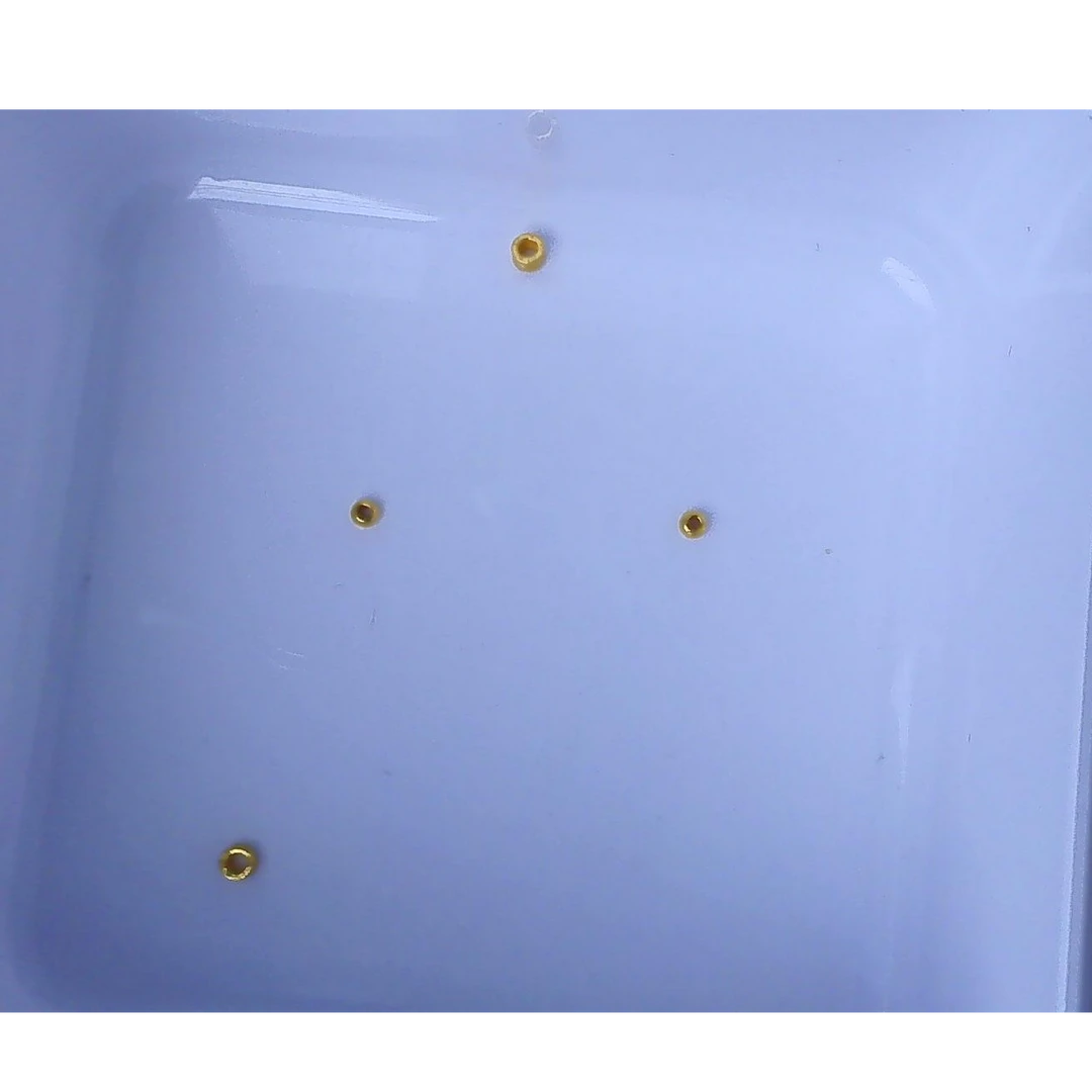黄金足金小金 豆
