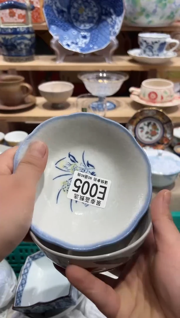 瓷片          E005