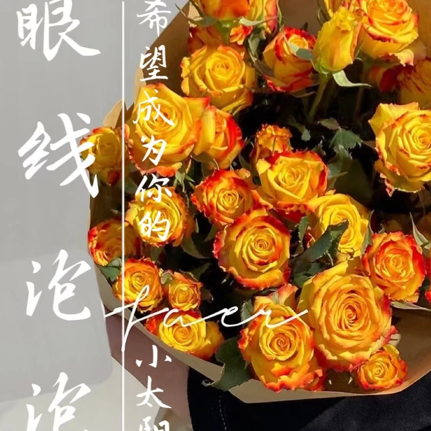 【AB级眼线泡泡多头玫瑰批发】厦门实体花店鲜花批发现货福建包邮