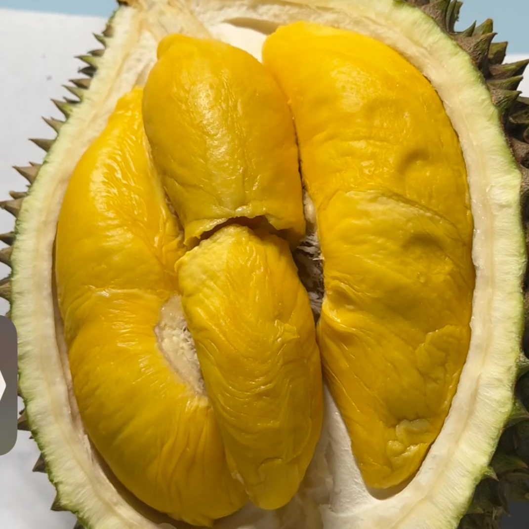 【 今天吃同城 鲜猫】马来西亚空运鲜猫山王榴莲 正宗 D197--Z