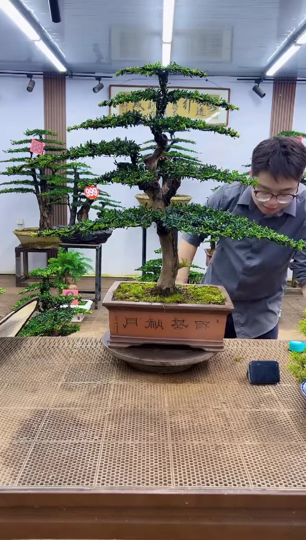 无花朵一物一拍，所见即所得