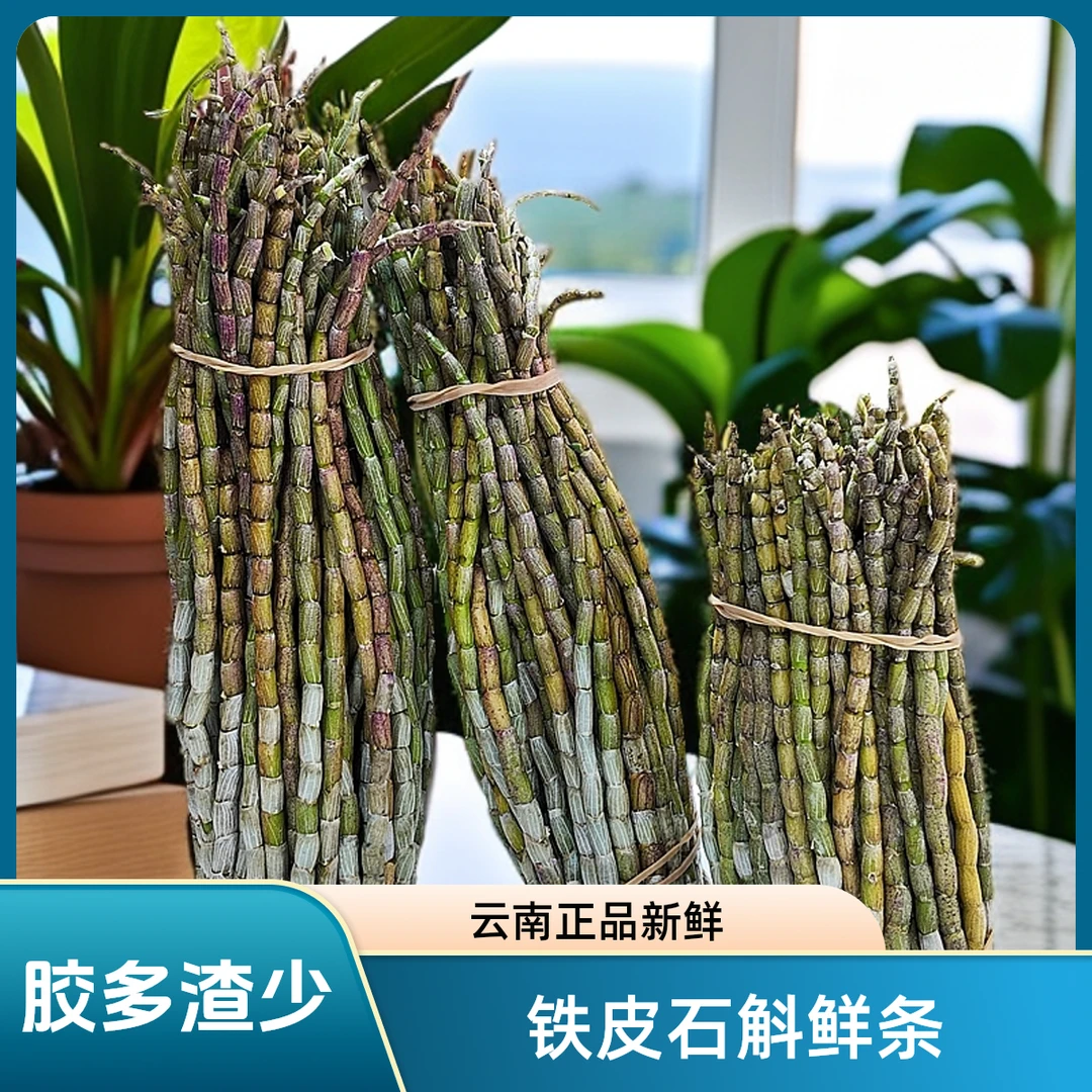 铁皮石斛鲜条云南新鲜铁皮石斛