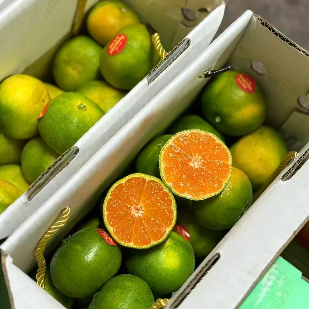 [红土爆橘Tangerine] 无籽蜜橘新鲜多汁应季水果高甜低酸皮薄易剥