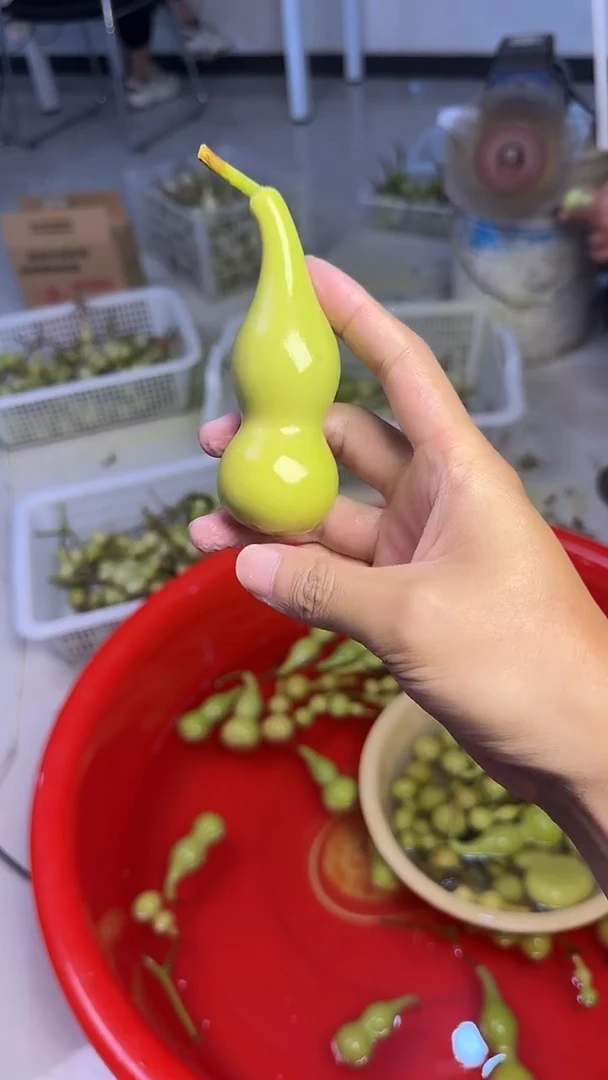 海*文玩葫芦摆件手把件本捻