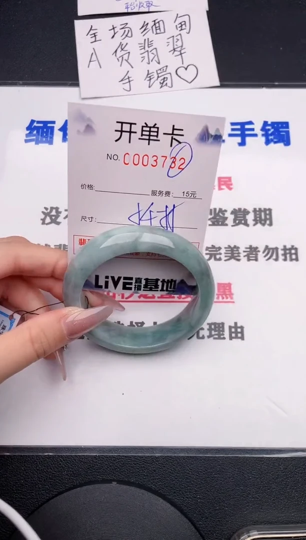 未镶嵌手镯翡翠32