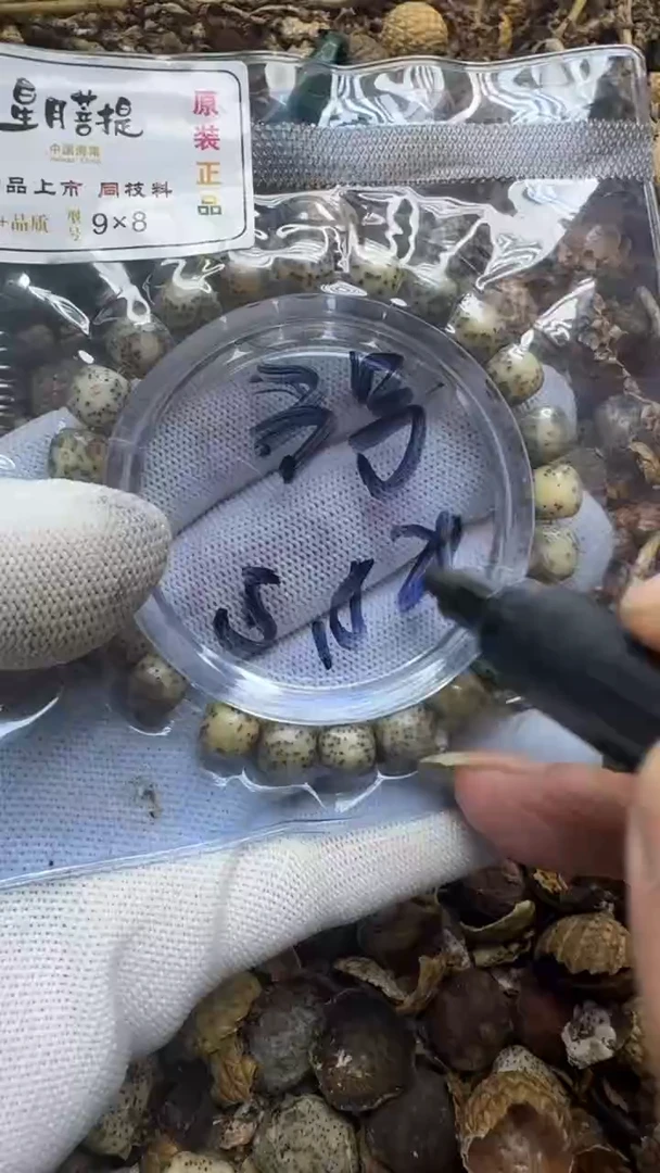 星月菩提吊坠青稞手作精品文玩 3号