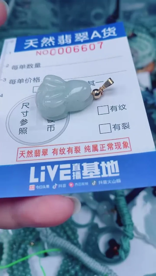 颈饰未镶嵌翡翠00006607