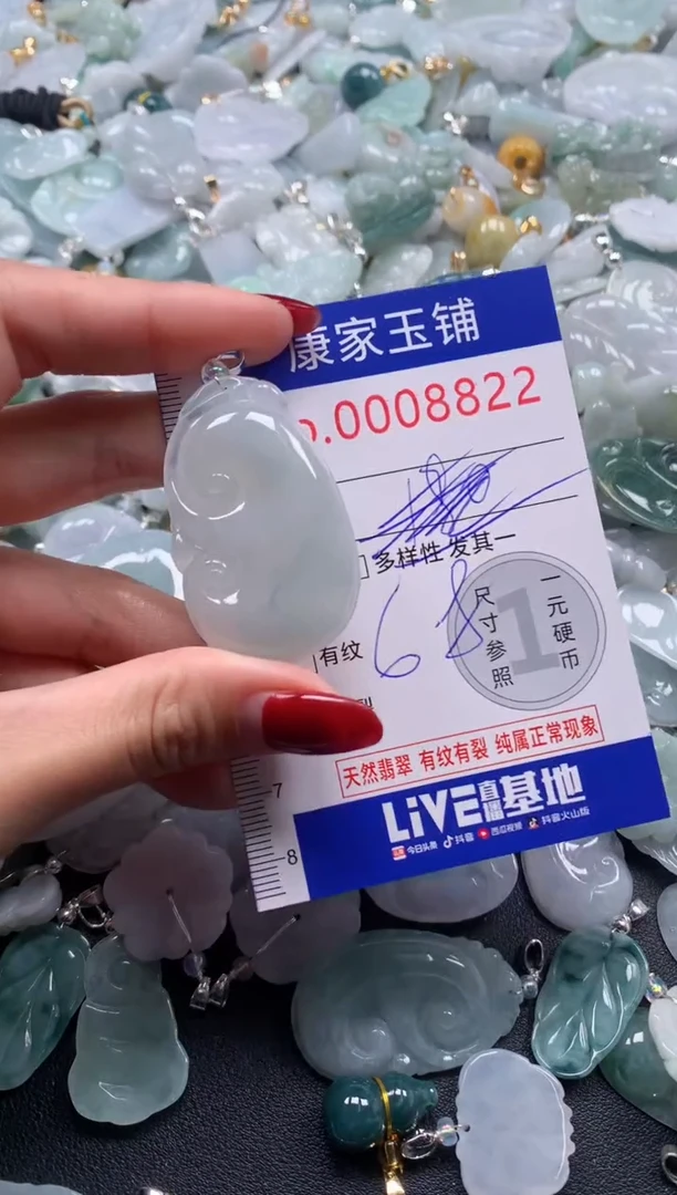 颈饰未镶嵌翡翠8822