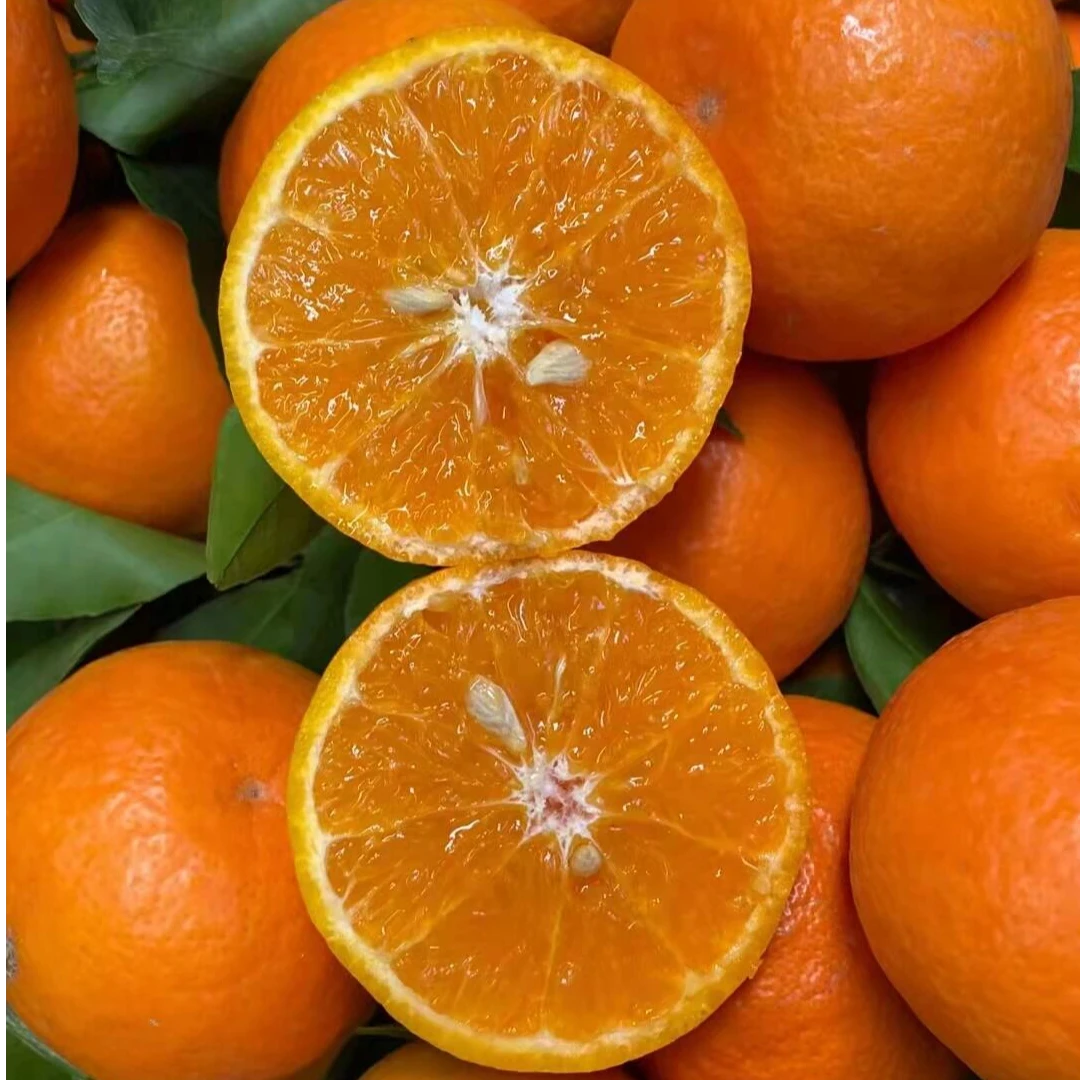 广西新鲜当季水果沃柑（9.9元/2斤）香甜多汁果肉细腻化渣广西壮族自治区