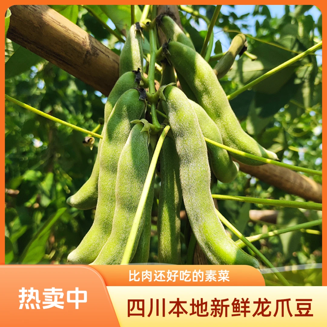 【蜀-四川龙爪豆】带皮狗儿豆炒辣椒花生米好吃1/2/3/5/8斤现摘