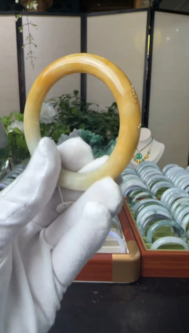 颈饰未镶嵌翡翠手镯